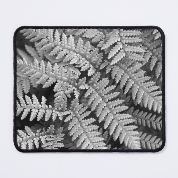 Item preview, Silver Fern designed and sold by coffeebean.