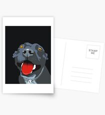 Zulu Postcards