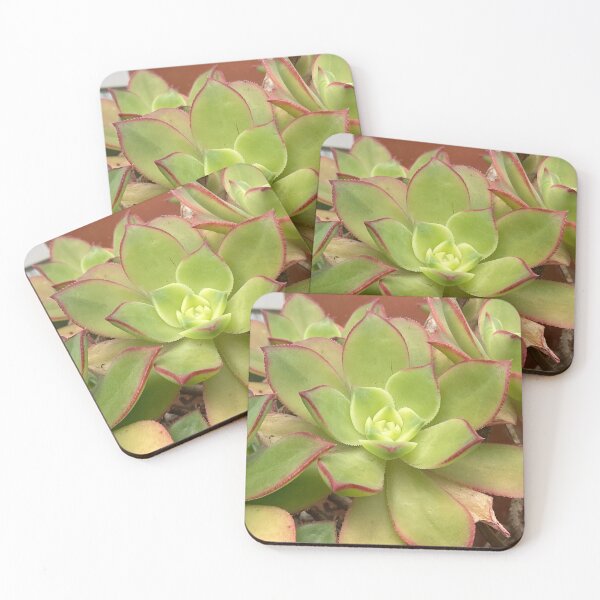Item preview, Succulent Plant Photography designed and sold by OByD.