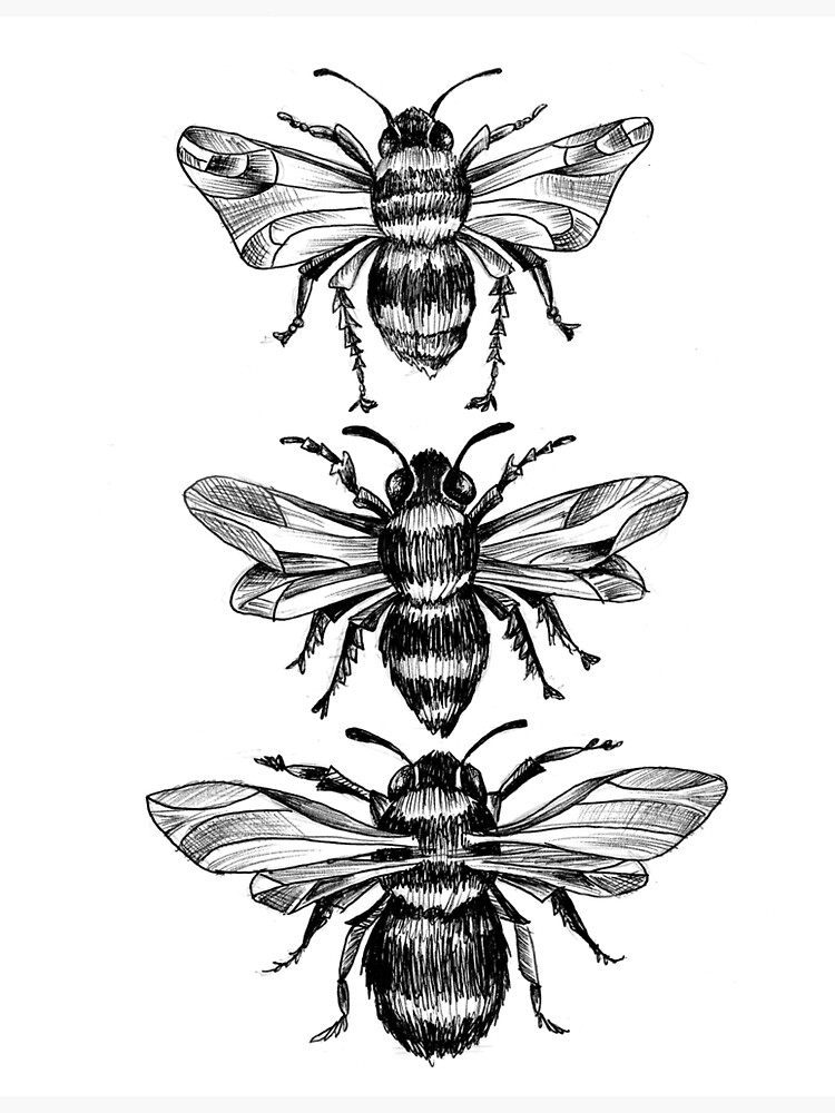 Bumble Bees Sticker By December Art Redbubble 6133