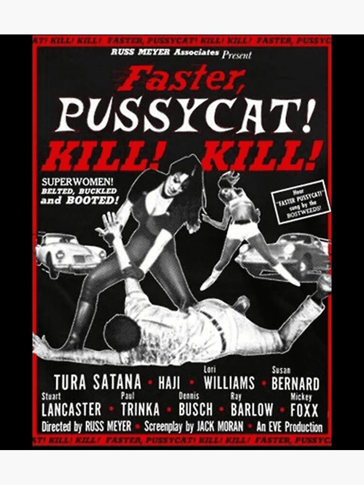 Faster Pussycat Kill Kill Poster For Sale By Shopxuxuxu Redbubble 1527