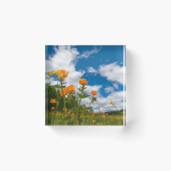 Item preview, Spring Flowers in a Field designed and sold by Javamba.