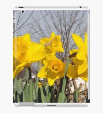 Daffodils iPad Case/Skin
