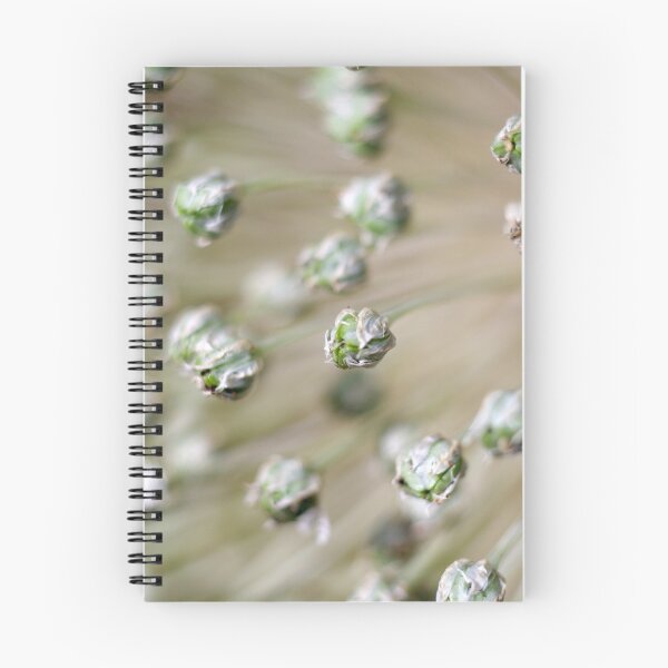 Item preview, Chives designed and sold by rom01.