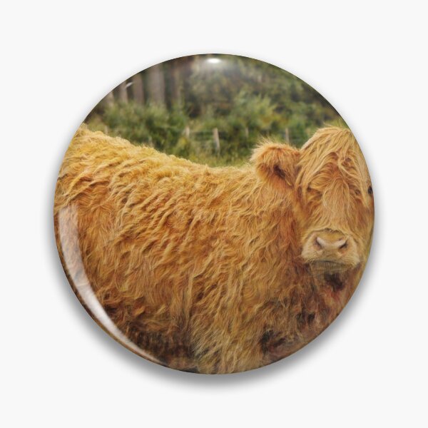 Item preview, Scottish Highland cow looking at you designed and sold by Photopat.