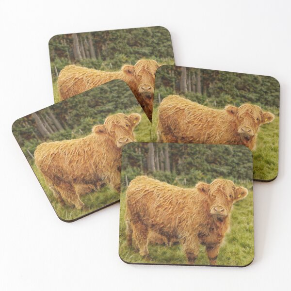 Item preview, Scottish Highland cow looking at you designed and sold by Photopat.