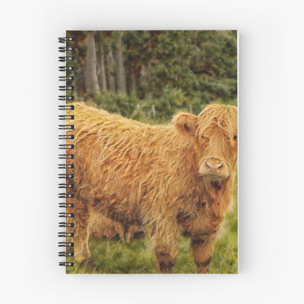 Item preview, Scottish Highland cow looking at you designed and sold by Photopat.