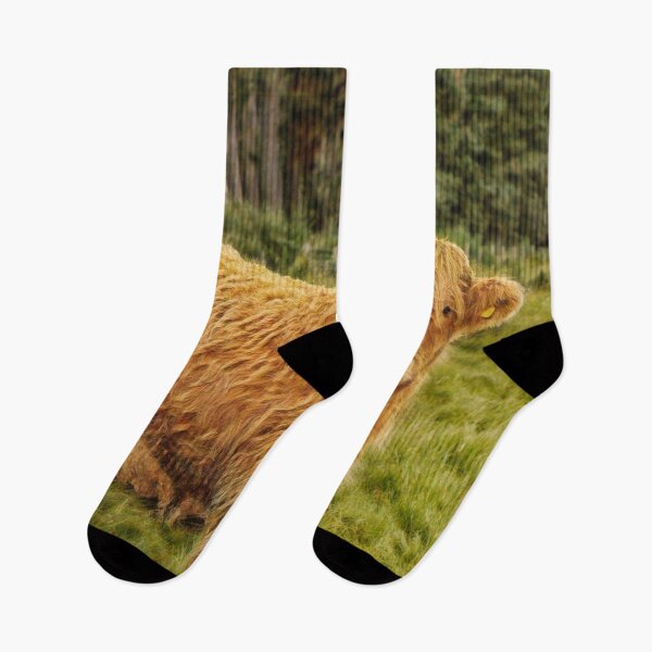 Item preview, Scottish Highland cow looking at you designed and sold by Photopat.