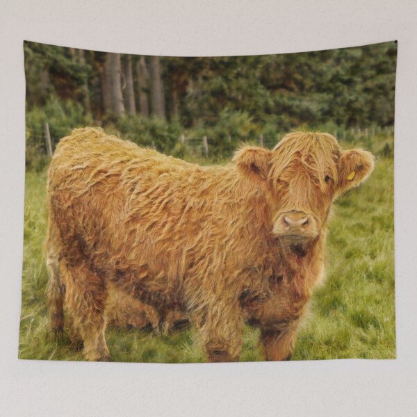 Item preview, Scottish Highland cow looking at you designed and sold by Photopat.