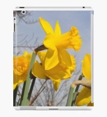Daffodils iPad Case/Skin