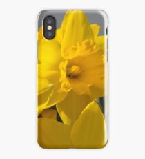 Daffodils iPhone Case/Skin
