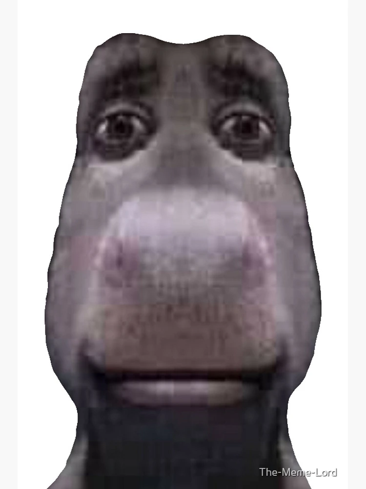 Donkey stares into your soul Art Board Print