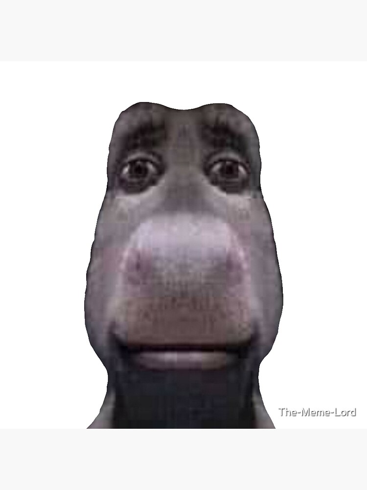 Staring Donkey  Know Your Meme