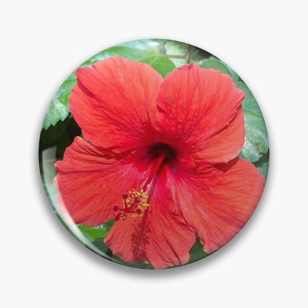 Item preview, Hibiscus Flower  designed and sold by Sunflowerwild.