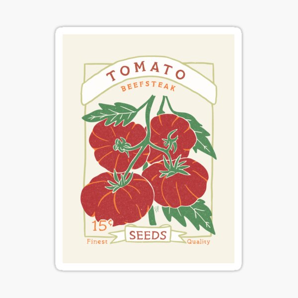 Vegetables - Tomato - Beefsteak