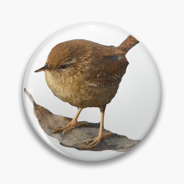 Item preview, Bird on Leaf designed and sold by eerietheery.