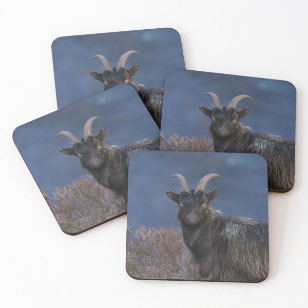 Item preview, Scottish feral goat designed and sold by rawshutterbug.