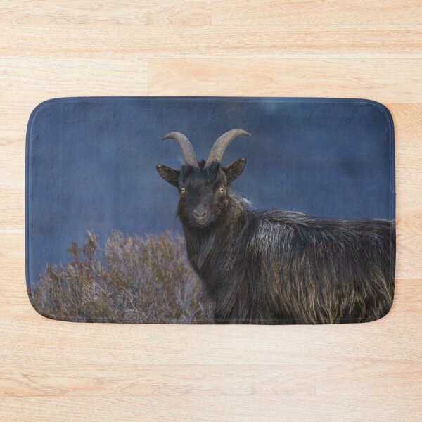 Item preview, Scottish feral goat designed and sold by rawshutterbug.