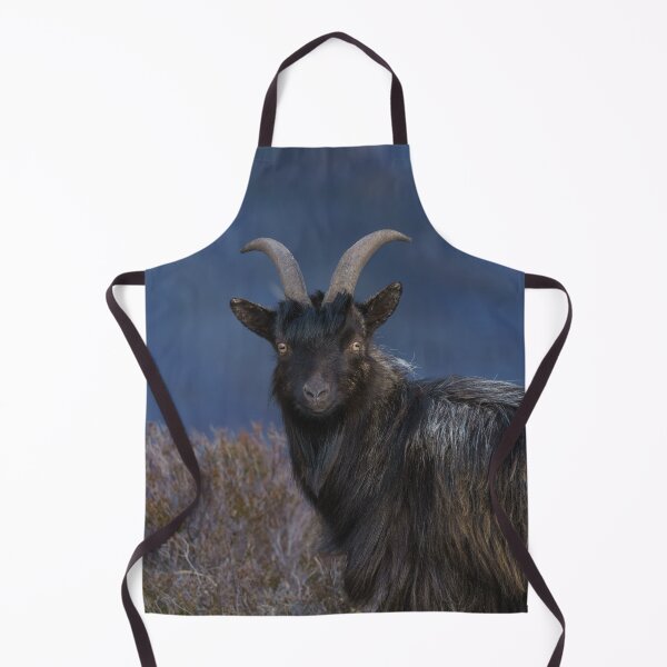 Item preview, Scottish feral goat designed and sold by rawshutterbug.