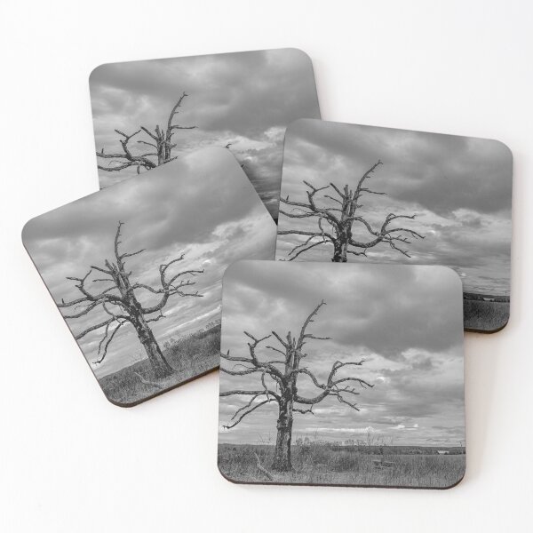 Item preview, Tree designed and sold by Craig Kauzmann.