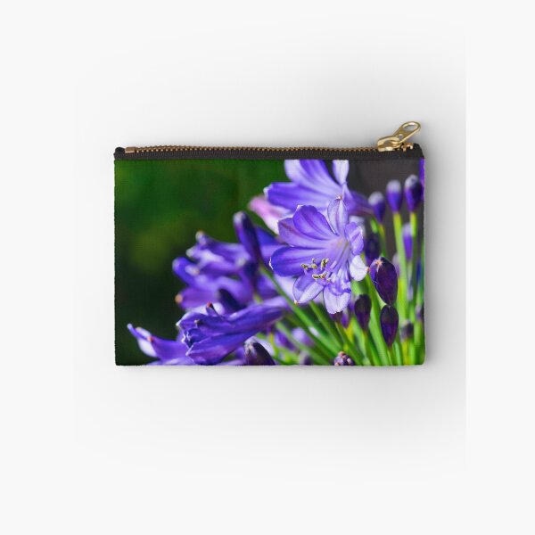 Artikelvorschau, Mitternacht Agapanthus entworfen und verkauft von Extraordinary Light.