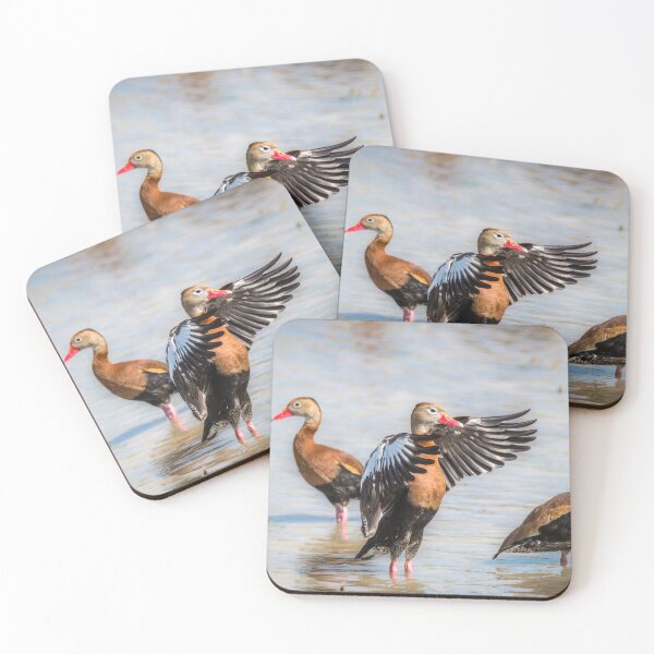 Item preview, Black-bellied Whistling-Duck Trio designed and sold by Debra Martz.