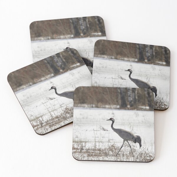 Item preview, On the walk today. Eurasian crane designed and sold by Jouko Lehto Photography.