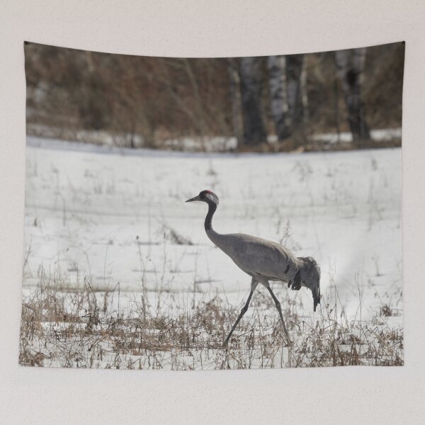Item preview, On the walk today. Eurasian crane designed and sold by Jouko Lehto Photography.