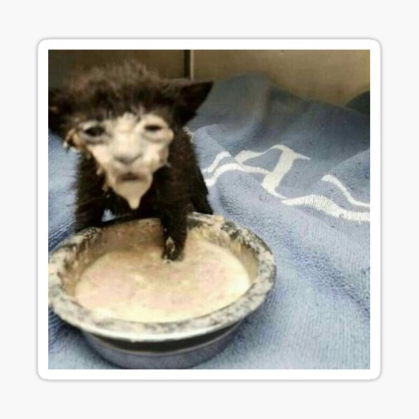 "pie" Sticker by windowcreamer Redbubble