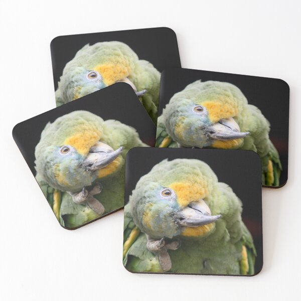 Item preview, Amazon Parrot designed and sold by kew-photography.