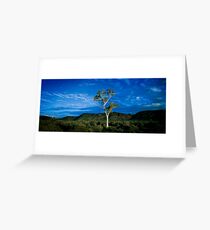 Lone Ghostgum, Macdonnell Ranges Greeting Card