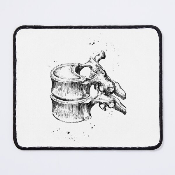 Item preview, Thoracic Vertebrae Spine Anatomy designed and sold by EvasDreams.