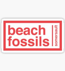 Pegatina etiqueta engomada de la voltereta de los fósiles de la playa