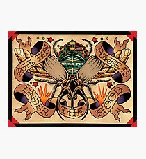 Empi Photographic Print