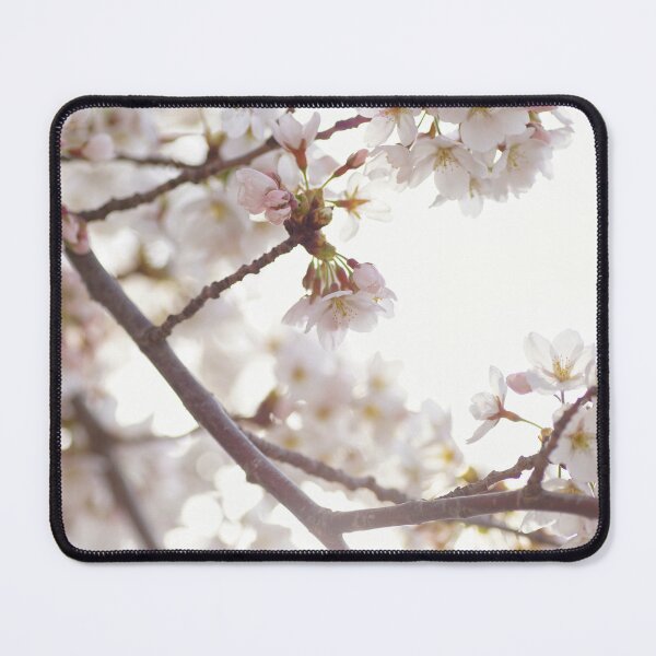 Item preview, beautiful cherry blossoms blooming designed and sold by waleed kurdi.