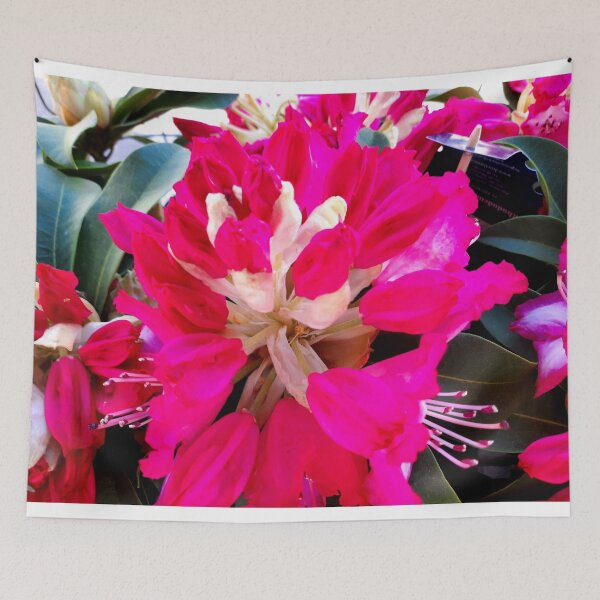 Item preview, Another Flower designed and sold by Dreammkd.
