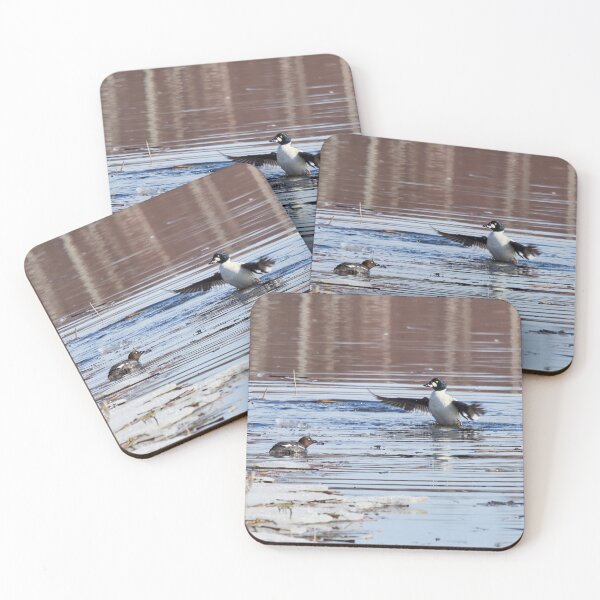 Item preview, It was this big. Common goldeneye designed and sold by Jouko Lehto Photography.