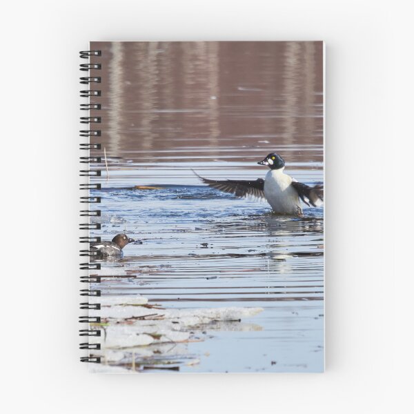 Item preview, It was this big. Common goldeneye designed and sold by Jouko Lehto Photography.