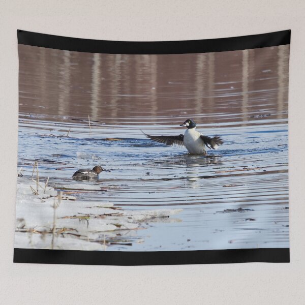 Item preview, It was this big. Common goldeneye designed and sold by Jouko Lehto Photography.