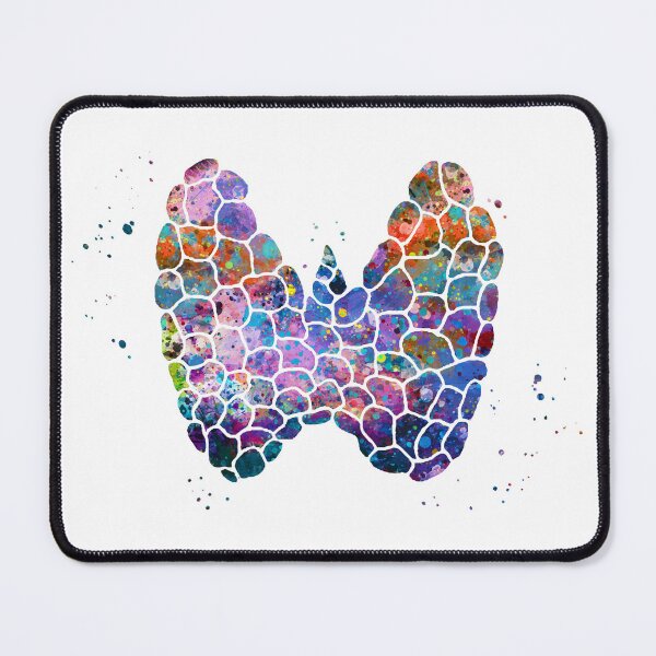 Item preview, Thyroid Gland Structural Scheme Anatomy designed and sold by EvasDreams.