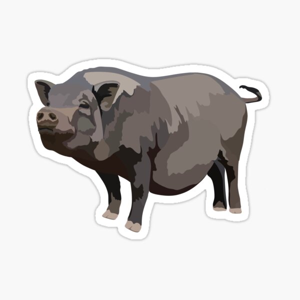 Artikel-Vorschau von P steht für Hängebauchschwein, designt und verkauft von thezoogirl.