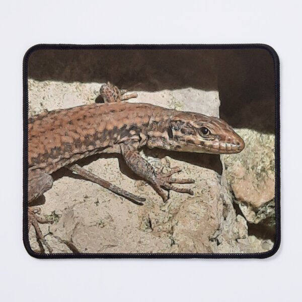 Item preview, funny lizard picture designed and sold by CeceRaven08.