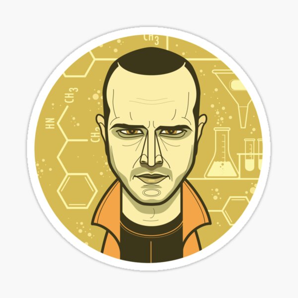 Bitch Jesse Pinkman Breaking Bad Christmas Ornament/Magnet/DHM/Wall Decor Art 
