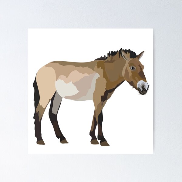 Item preview, P is Przewalski Horse  designed and sold by thezoogirl.