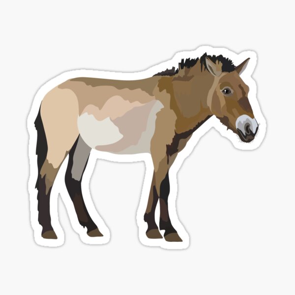 Aperçu de l'œuvre P est le cheval de Przewalski créée et vendue par thezoogirl.