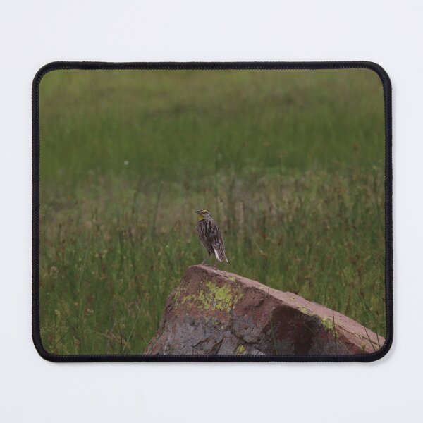 Item preview, Eastern Meadowlark on Rock designed and sold by kolbmannc.