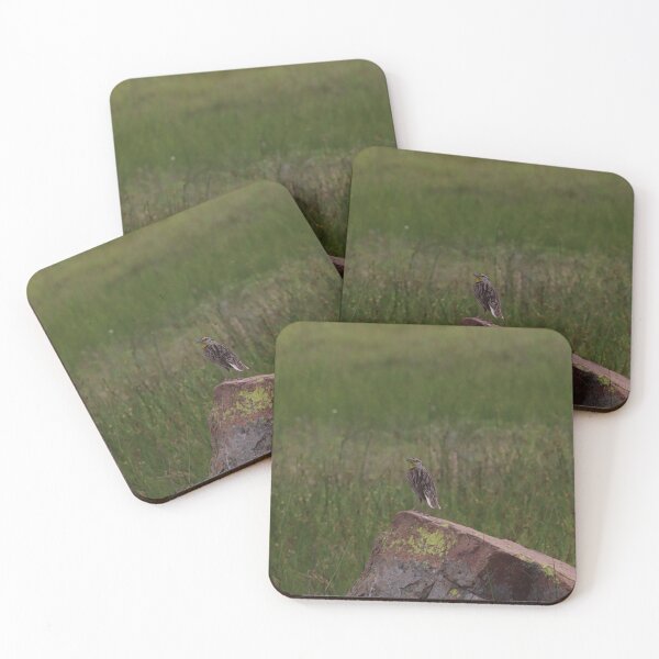 Item preview, Eastern Meadowlark on Rock designed and sold by kolbmannc.