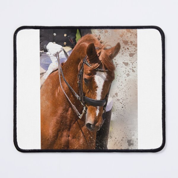 Item preview, Dressage: Game Face designed and sold by horseymj1.