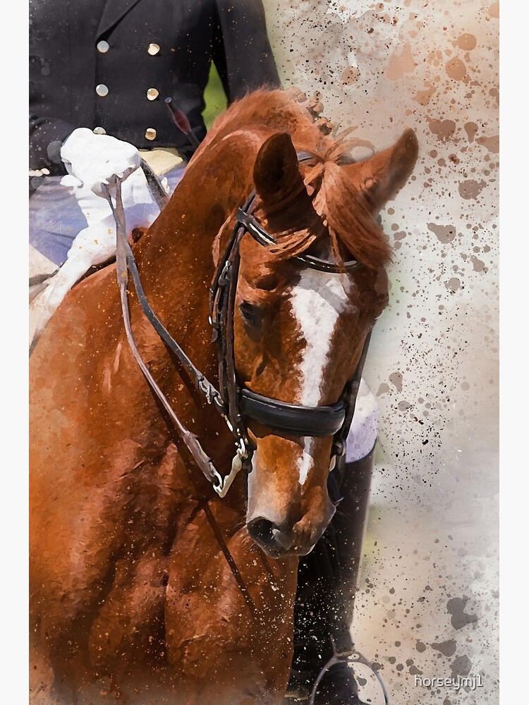 "Dressage Game Face" Poster for Sale by horseymj1 Redbubble