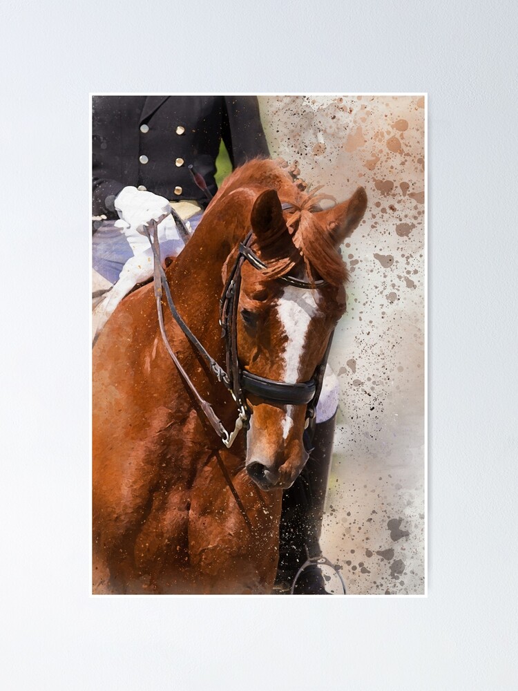 "Dressage Game Face" Poster for Sale by horseymj1 Redbubble